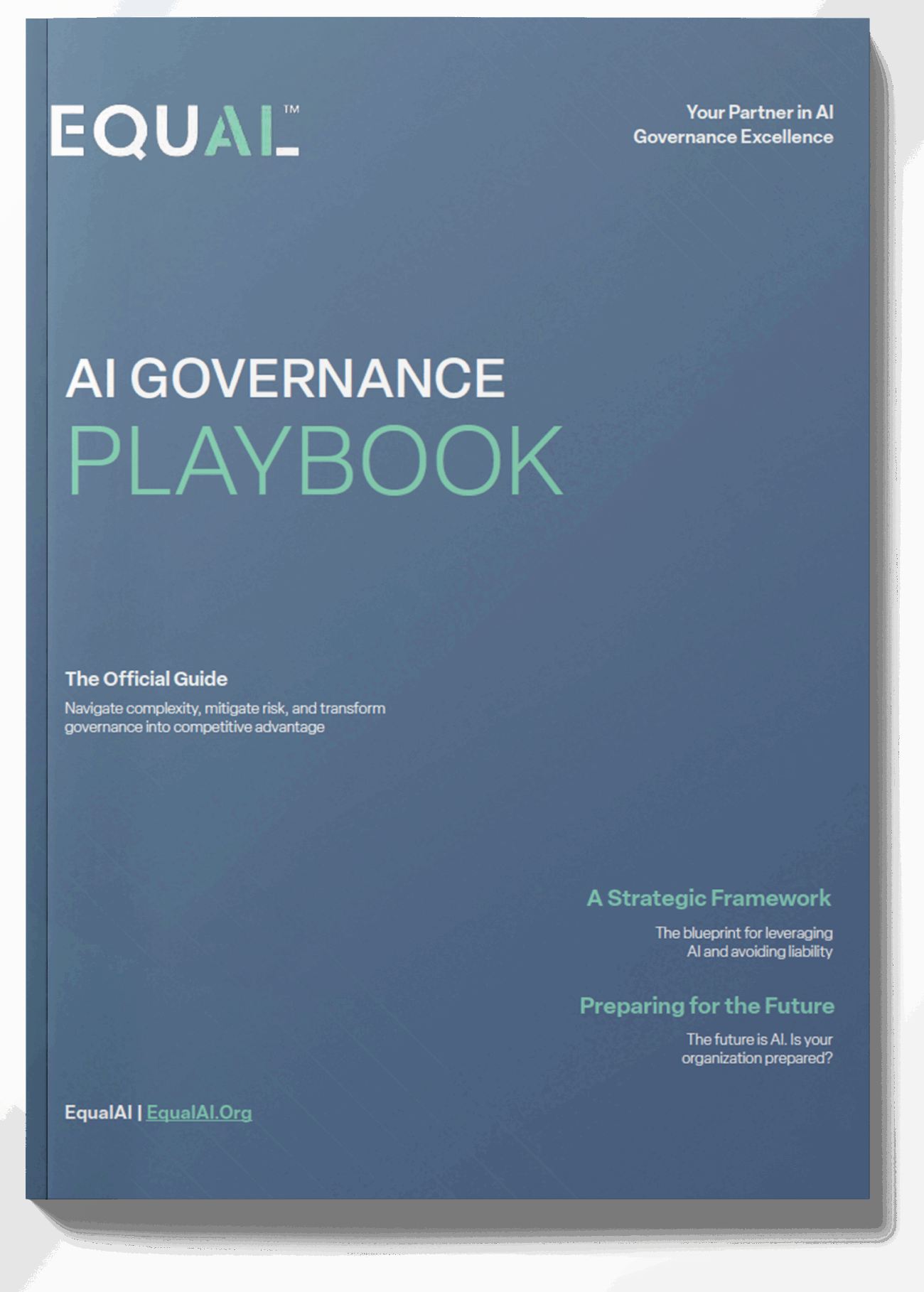 The AI Governance Playbook